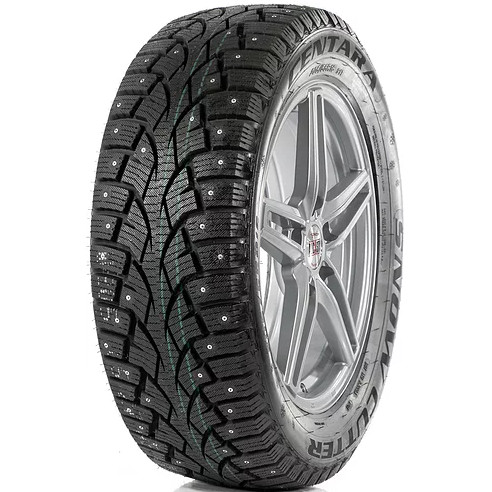 SNOW CUTTER Centara Snow Cutter 205/55 R16 91T