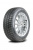 Delinte Winter WD52 195/55 R16 91T