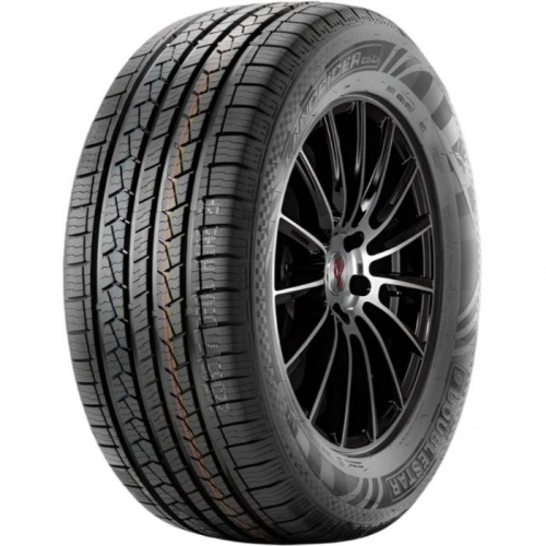 DS01 Doublestar DS01 255/55 R20 110V